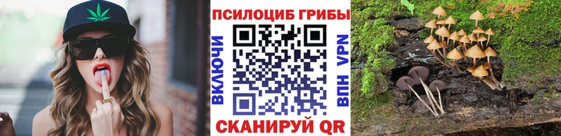 Купить где  Ялта  Галлюциногенные грибы MAGIC MUSHROOMS 